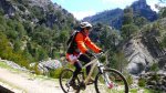 cazorla010_1024x57&.jpg
