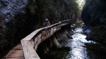cazorla095_1024x57&.jpg