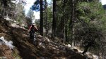 cazorla046_1024x57&.jpg
