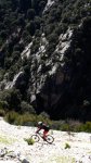 cazorla015_432x768&.jpg