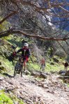 cazorla020_1024x68&.jpg