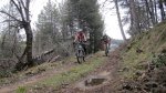 cazorla027_1024x57&.jpg