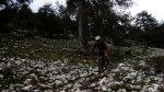 cazorla044_1024x57&.jpg