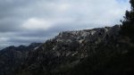 cazorla029_1024x57&.jpg