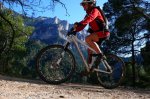 2cazorla015_1024x6&.jpg