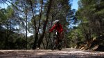 2cazorla021_1024x5&.jpg
