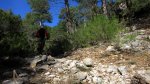 2cazorla056_1024x5&.jpg