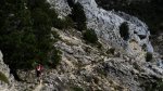 2cazorla039_1024x5&.jpg