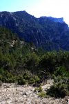 2cazorla011_514x76&.jpg