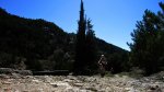 2cazorla030_1024x5&.jpg