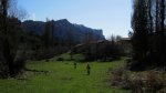 2cazorla049_1024x5&.jpg