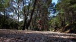 2cazorla019_1024x5&.jpg