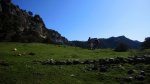 2cazorla050_1024x5&.jpg