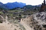 2cazorla008_1024x6&.jpg