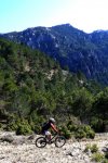 2cazorla010_514x76&.jpg