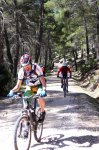2cazorla001_511x76&.jpg