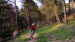 3cazorla053_1024x5&.jpg