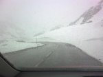 04042010_002..jpg
