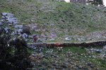 3cazorla008_1024x6&.jpg