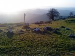 DSC00546..jpg
