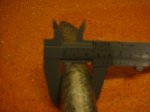 DSC01259.jpg