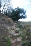 DSC_0236 girada..jpg