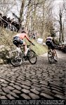 rvv10-up..jpg