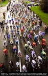 rvv10-km0..jpg