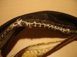 DSC04130.JPG
