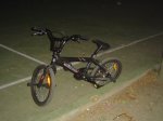 DSC08450.JPG