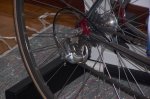 100_0829.JPG