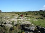 URBASA-2006-09-23 003.jpg