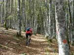 URBASA-2006-09-23 024.jpg