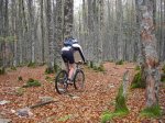 URBASA-2006-09-30 022.jpg