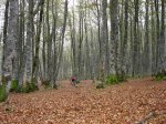 URBASA-2006-09-30 024.jpg