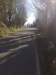05042010883-1..jpg