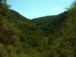 DSC00083..jpg