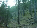 DSC00149..jpg