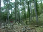 DSC00151..jpg