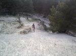 IMG353..jpg