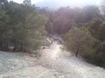 IMG351..jpg