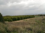 Foto0116..jpg