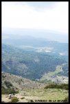 EN LA CIMA..JPG