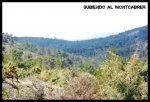 subiendo al mont&#99.JPG