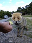DSCF2511_resize..JPG