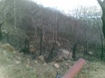 08042010(002)..jpg