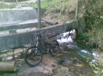 08042010(007)..jpg