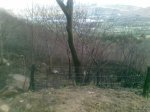 08042010..jpg