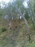 08042010(003)..jpg