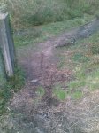 08042010(005)..jpg